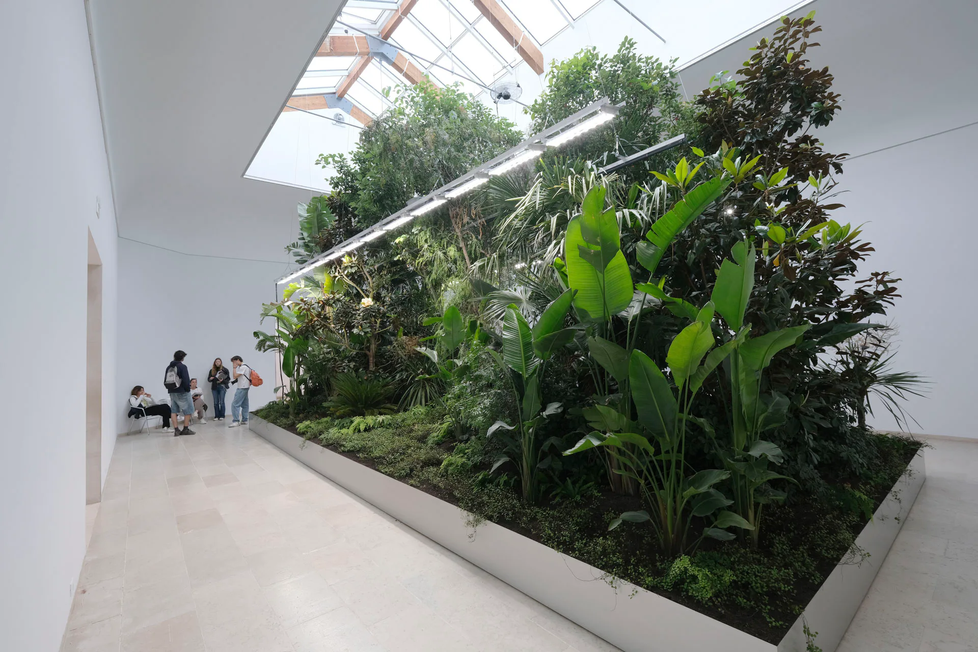 „Building Biospheres“ im belgischen Pavillon. Kuratoren: Bas Smets, Stefano Mancuso.