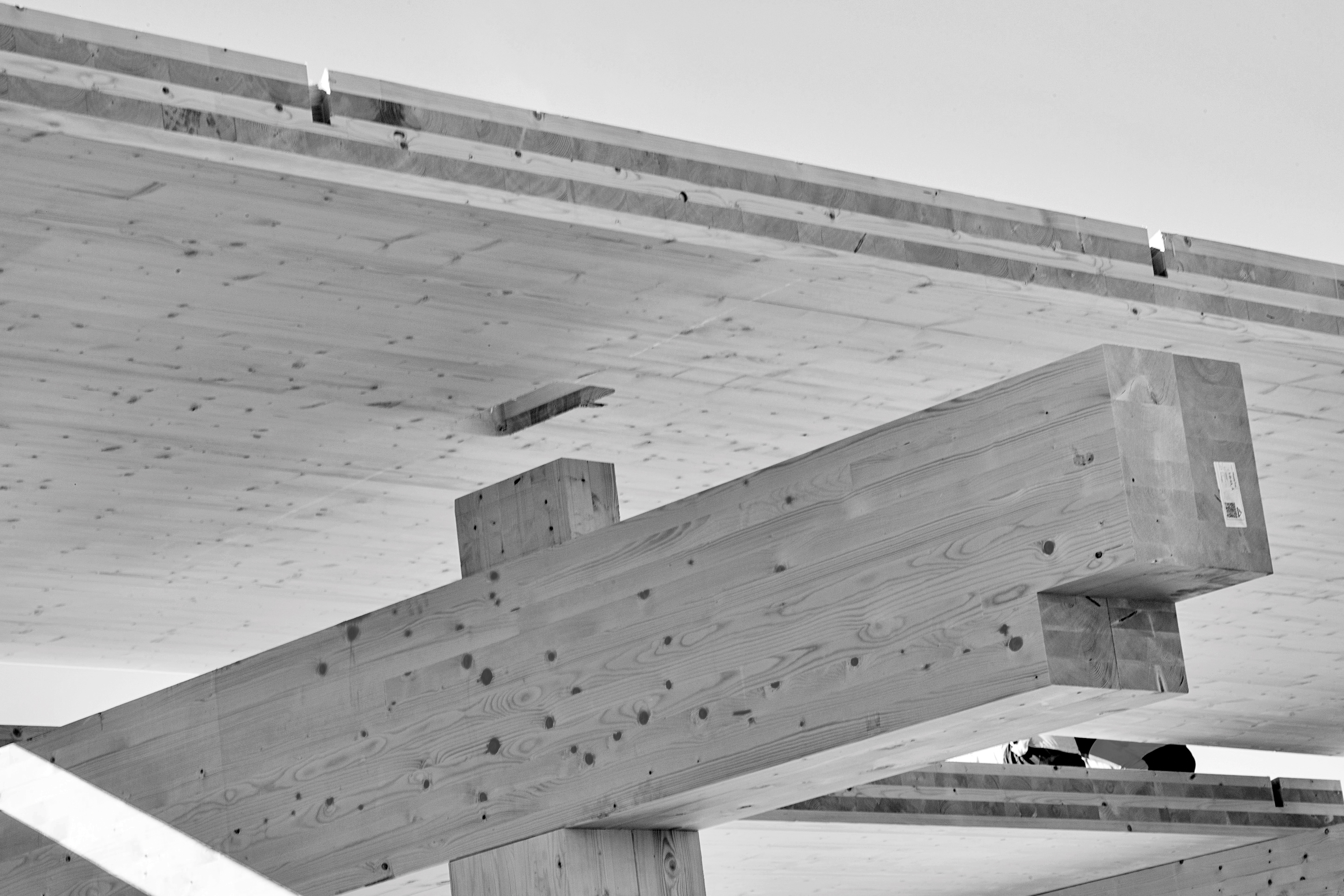 Zum Mittelflur kragen die Deckenträger aus. In der Aussparung werden die Installationskanäle gut zugänglich verlegt. Durchdringungen der Träger sind nicht erforderlich.