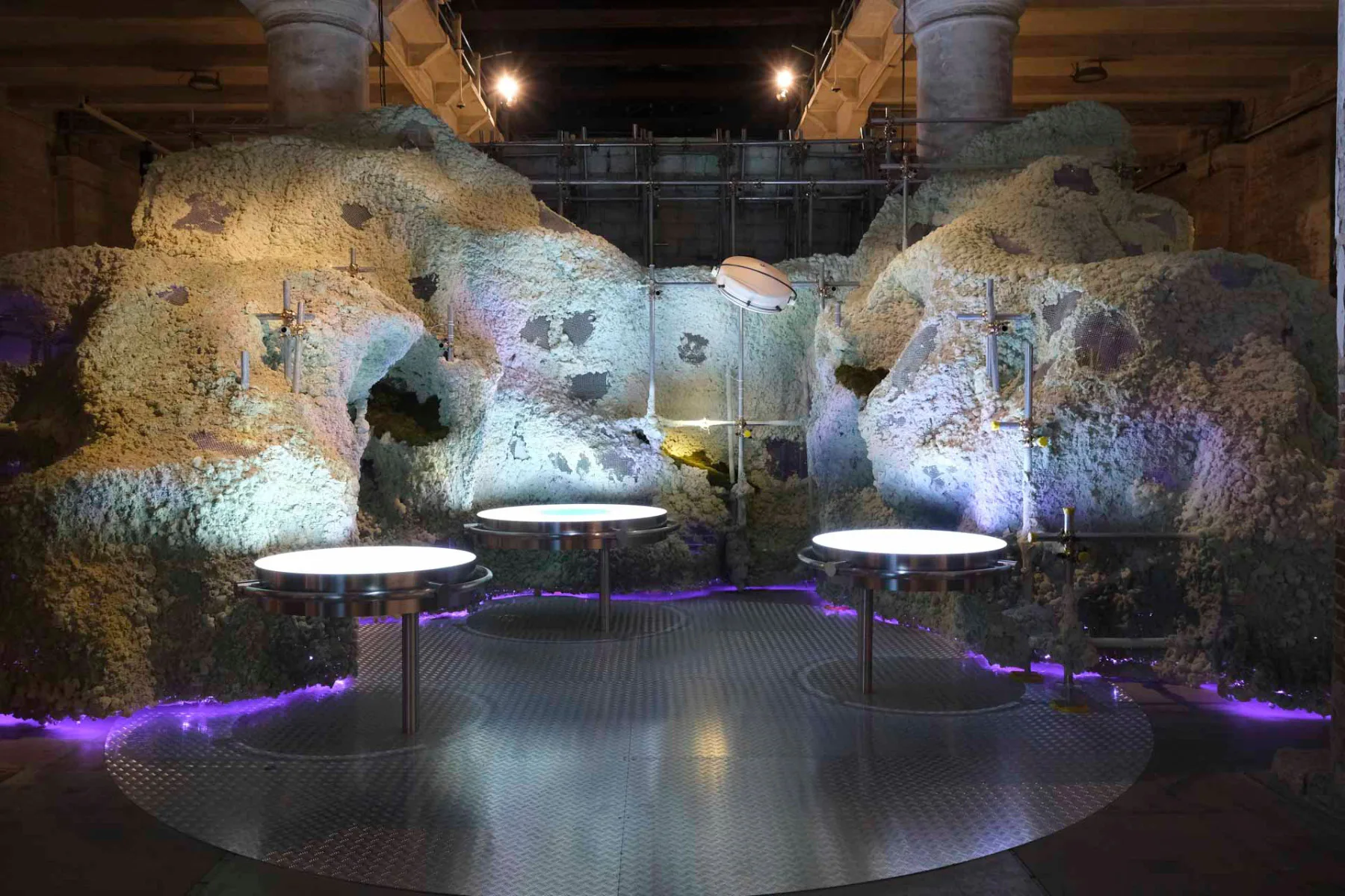 „The Other Side of the Hill“ heißt diese Installation gleich zu Beginn der Hauptausstellung im Arsenal von Venedig. Konzipiert wurde sie von Geoffrey West, Roberto Kolter, Beatriz Colomina, Mark Wigley und Patricia Urquiola.