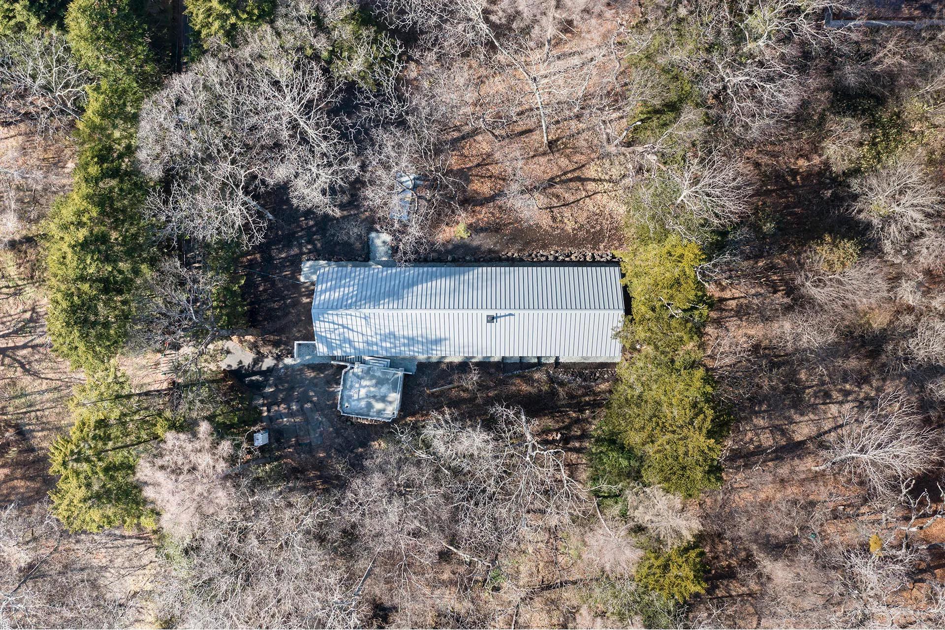Das Haus steht buchstäblich mitten im Wald – ein Grund für Takahiro Endo, auch in seinem Entwurf den Kontakt zur Natur zu suchen.