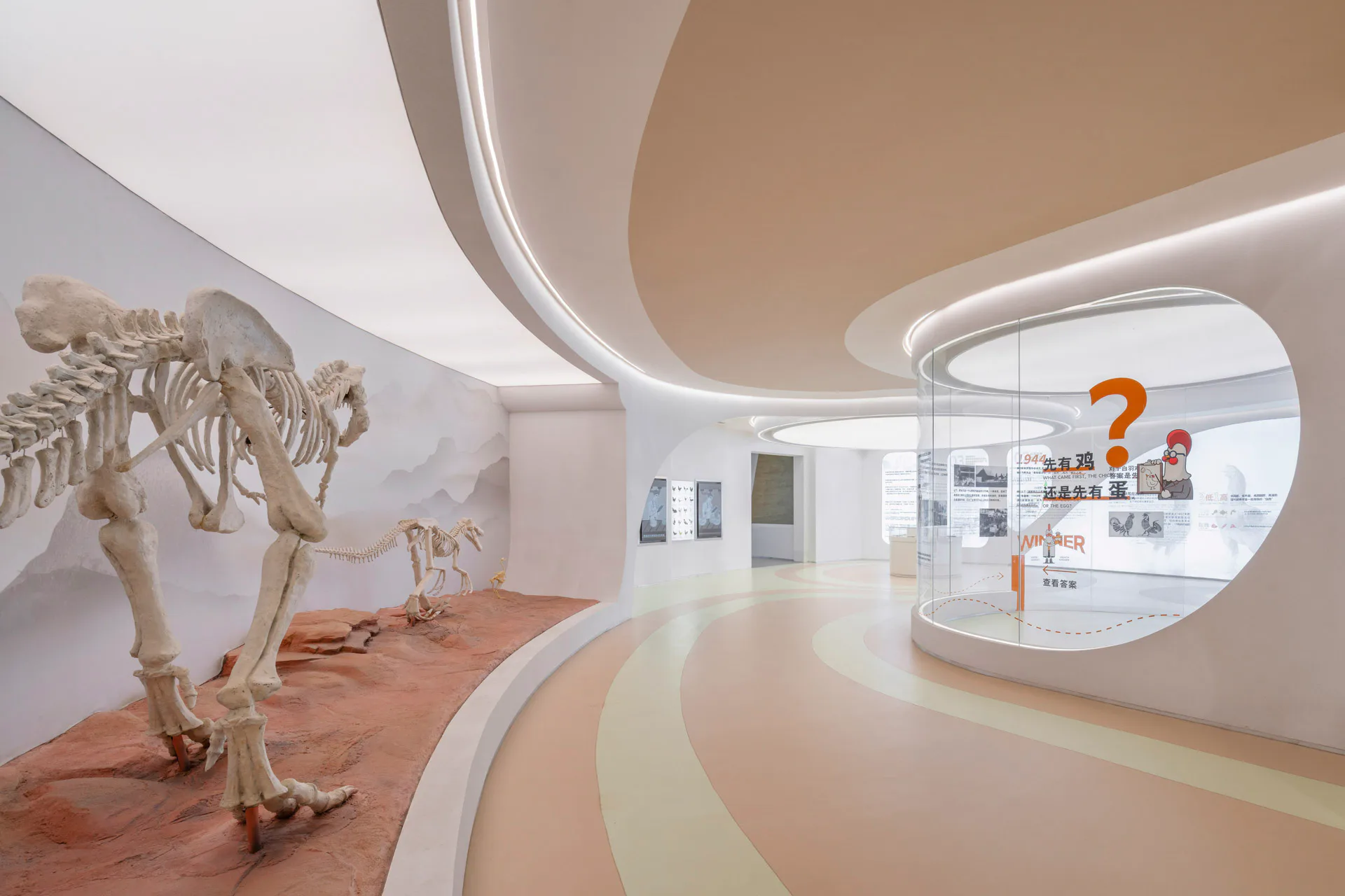 The exhibition rooms are dedicated to the history of chicken breeding and the evolutionary history of chickens since prehistoric times.