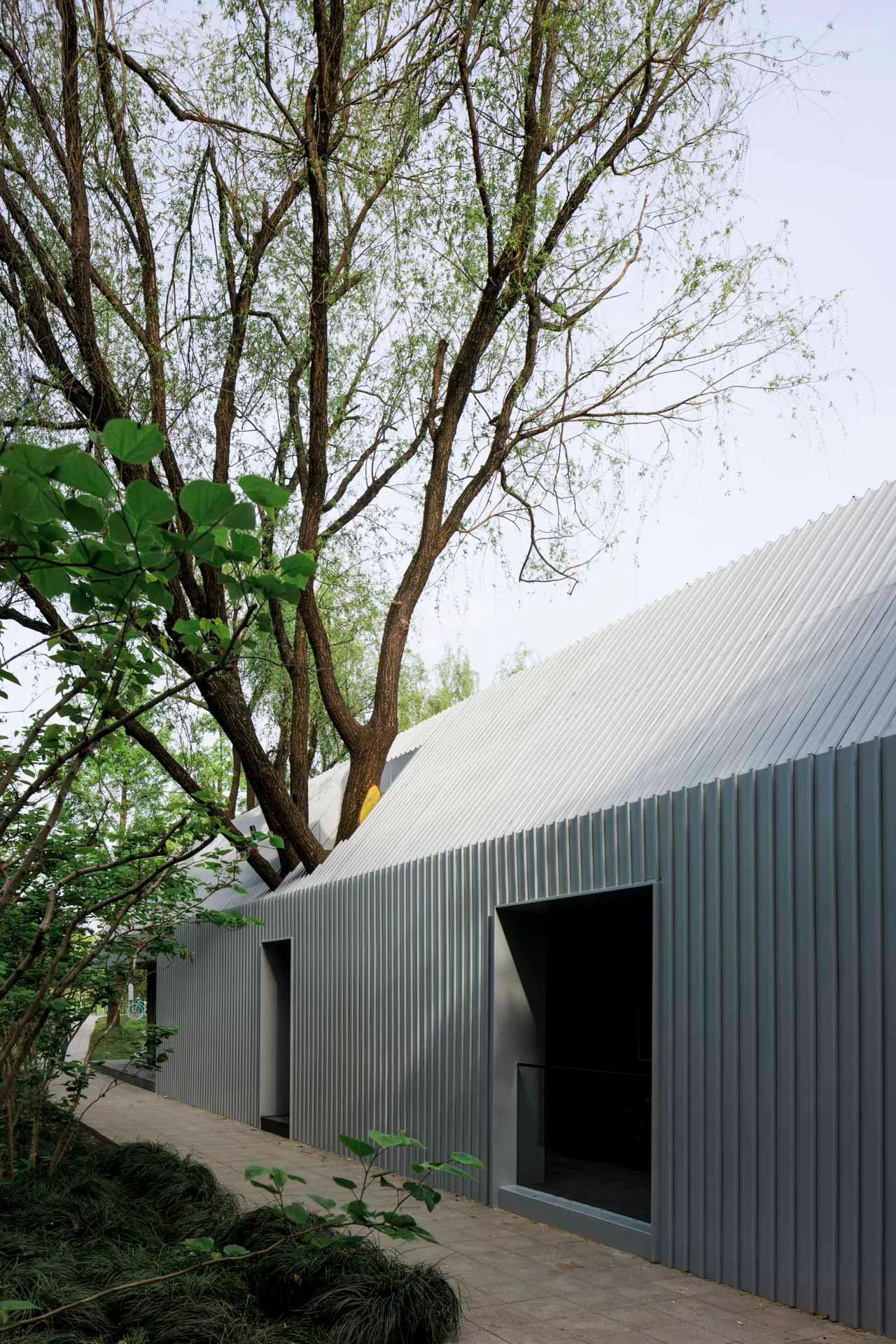 The Lake House: Life Experience Pavilion, Baum als Teil des Pavillons