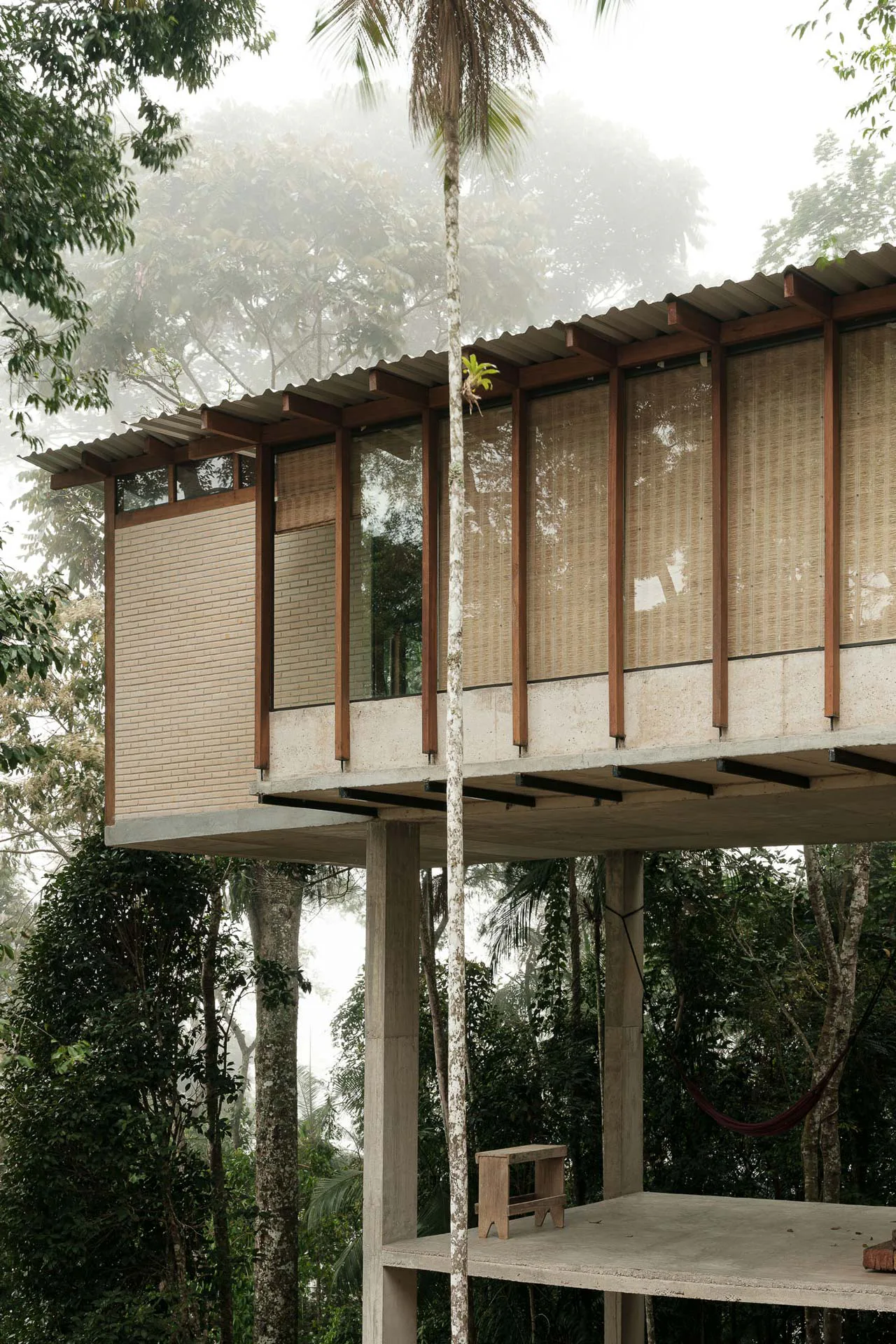 House in the Trees / Juliana Ayako