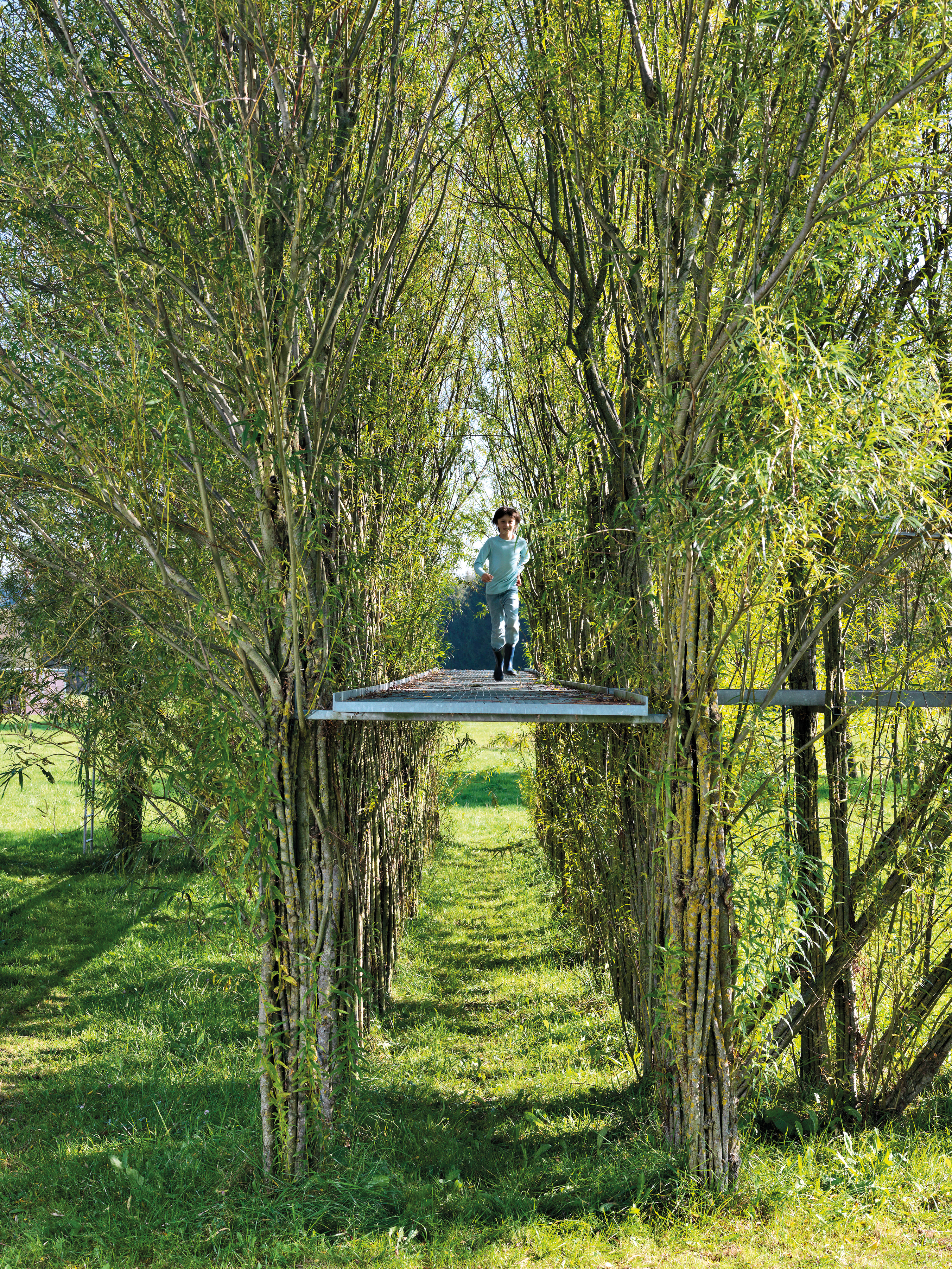 Baubotanischer Steg in Ried, 2005: Die lebende Struktur aus Weiden-Setzstangen trägt auf 2,50 Metern Höhe eine begehbare Fläche aus Stahlgitterrosten.