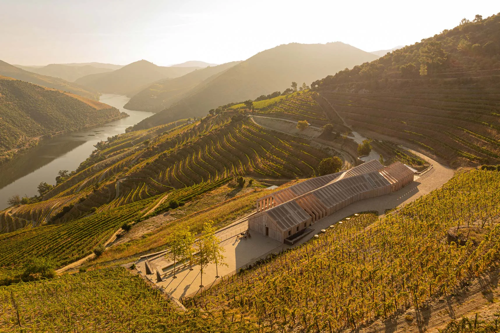 Das Weingut Quinta de Adorigo liegt im Alto Douro, der ältesten geschützten Weinbauregion der Welt.