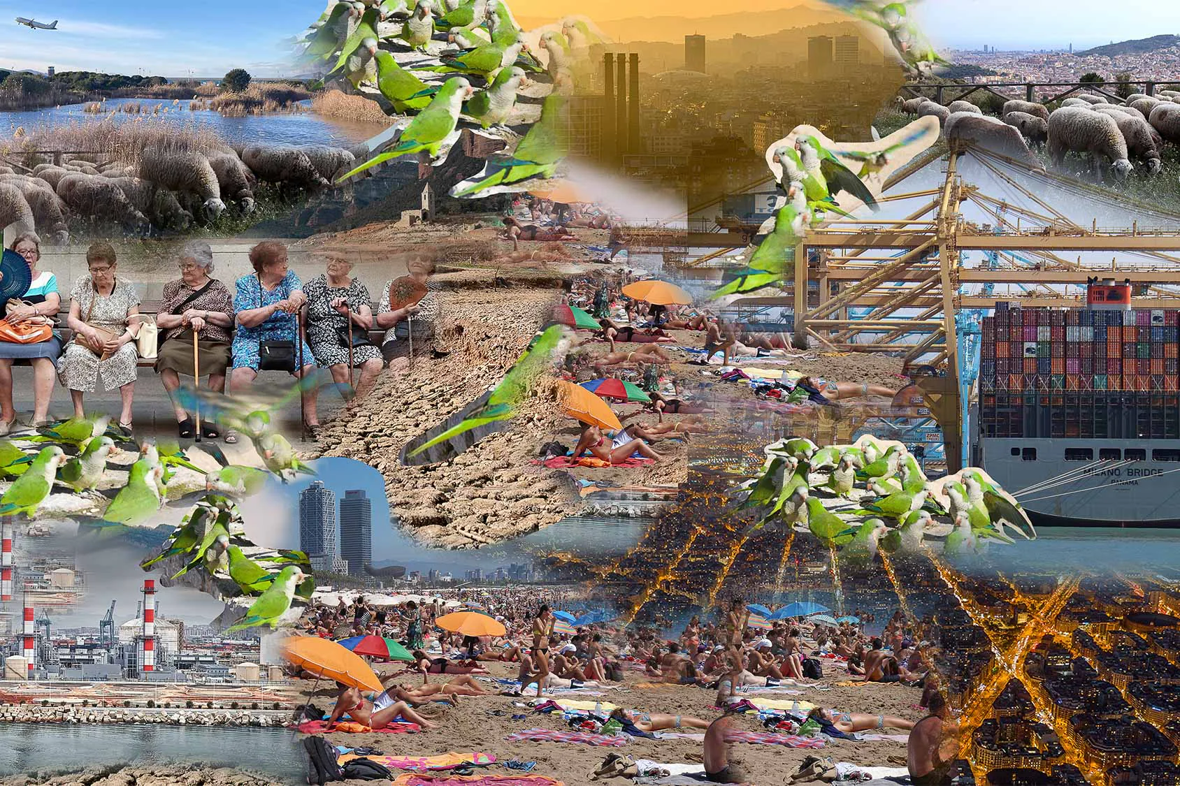 Collage aus digital bearbeiteten Bildern von Judit Musachs und Pol Pérez, ausgewählt vom Kuratorenteam.