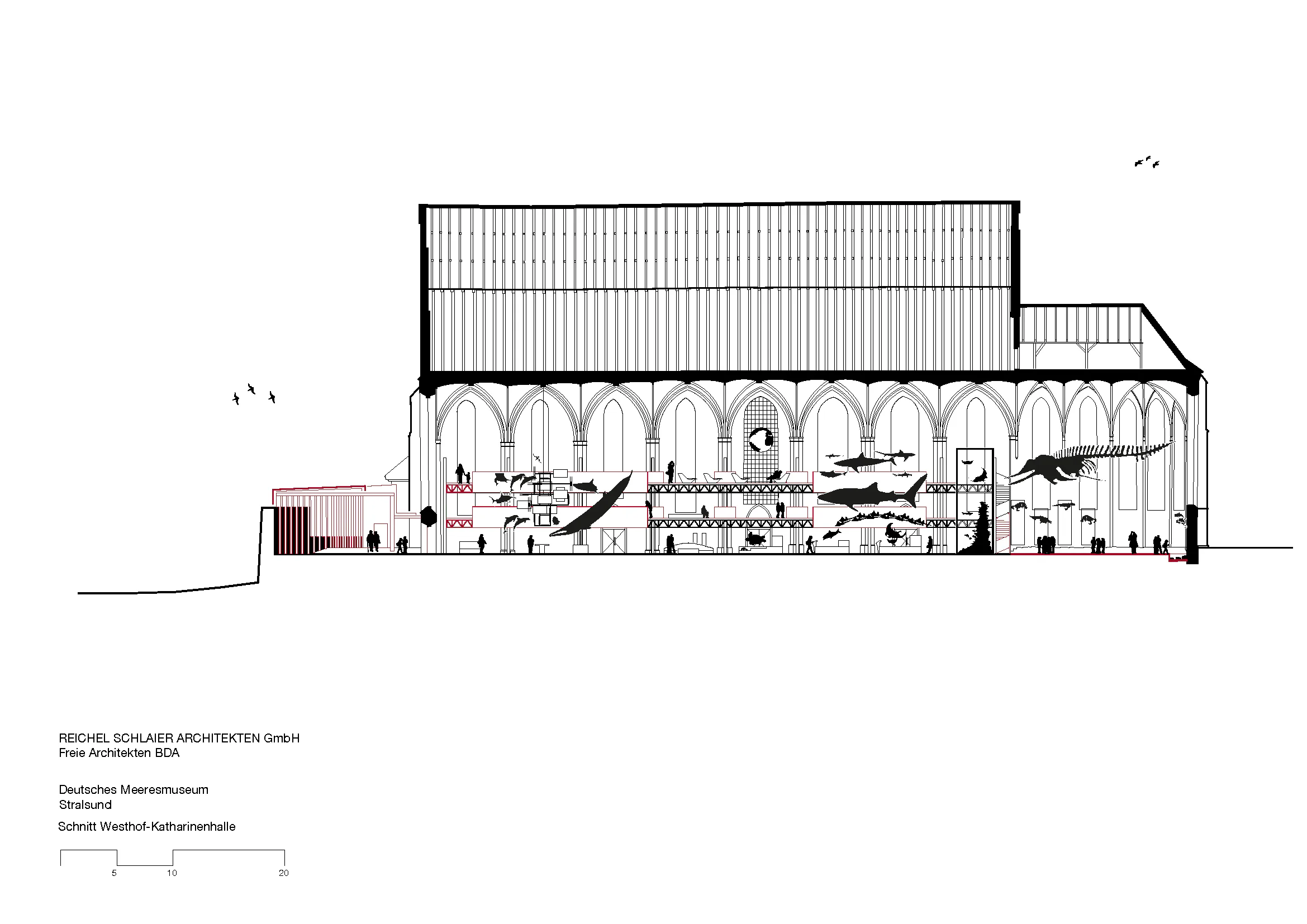 Schnitt Westhof-Katharinenhalle, Grafik