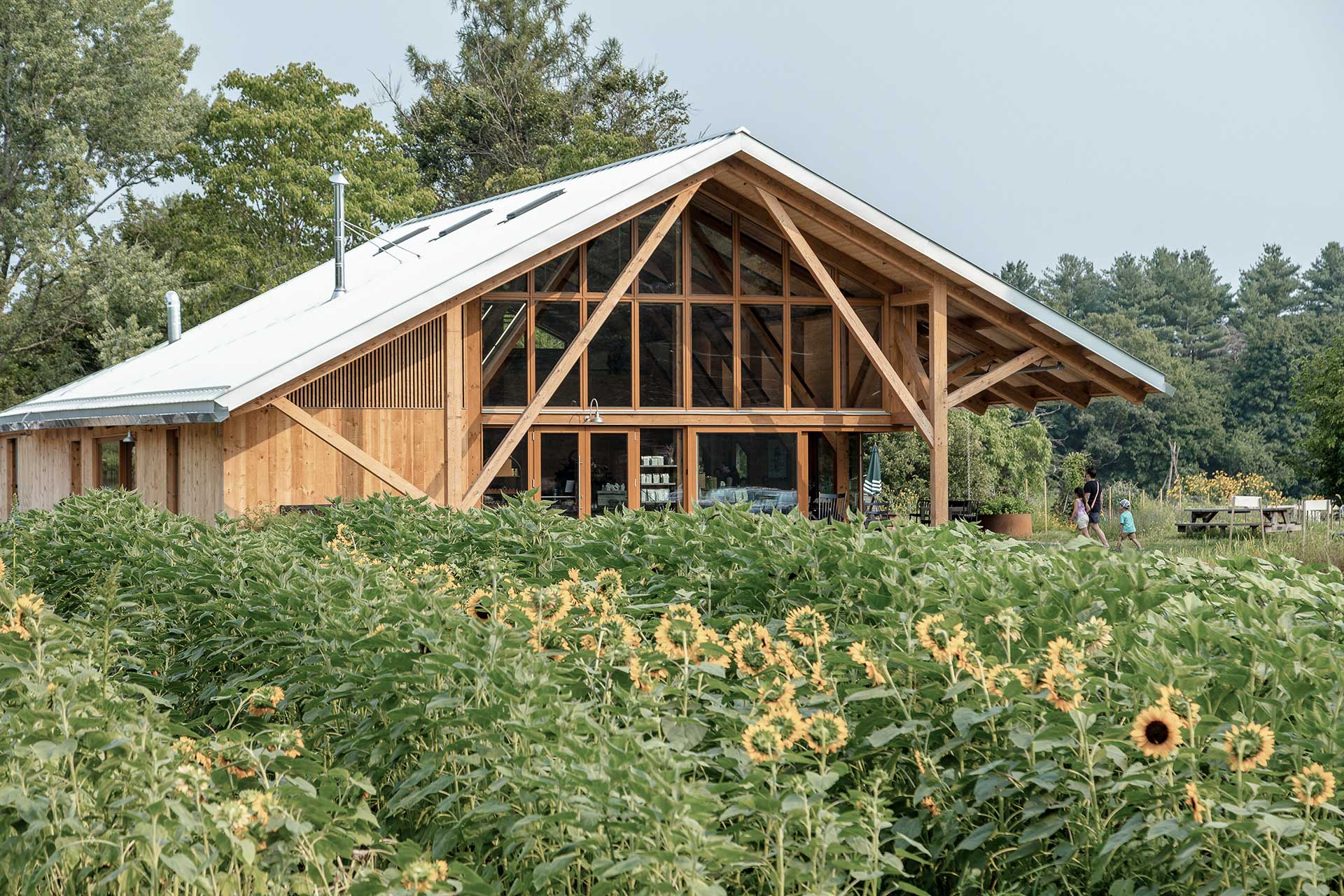 Payette platziert den hölzernen Pavillon mit ausladendem Satteldach inmitten der landwirtschaftlich genutzten Flächen.