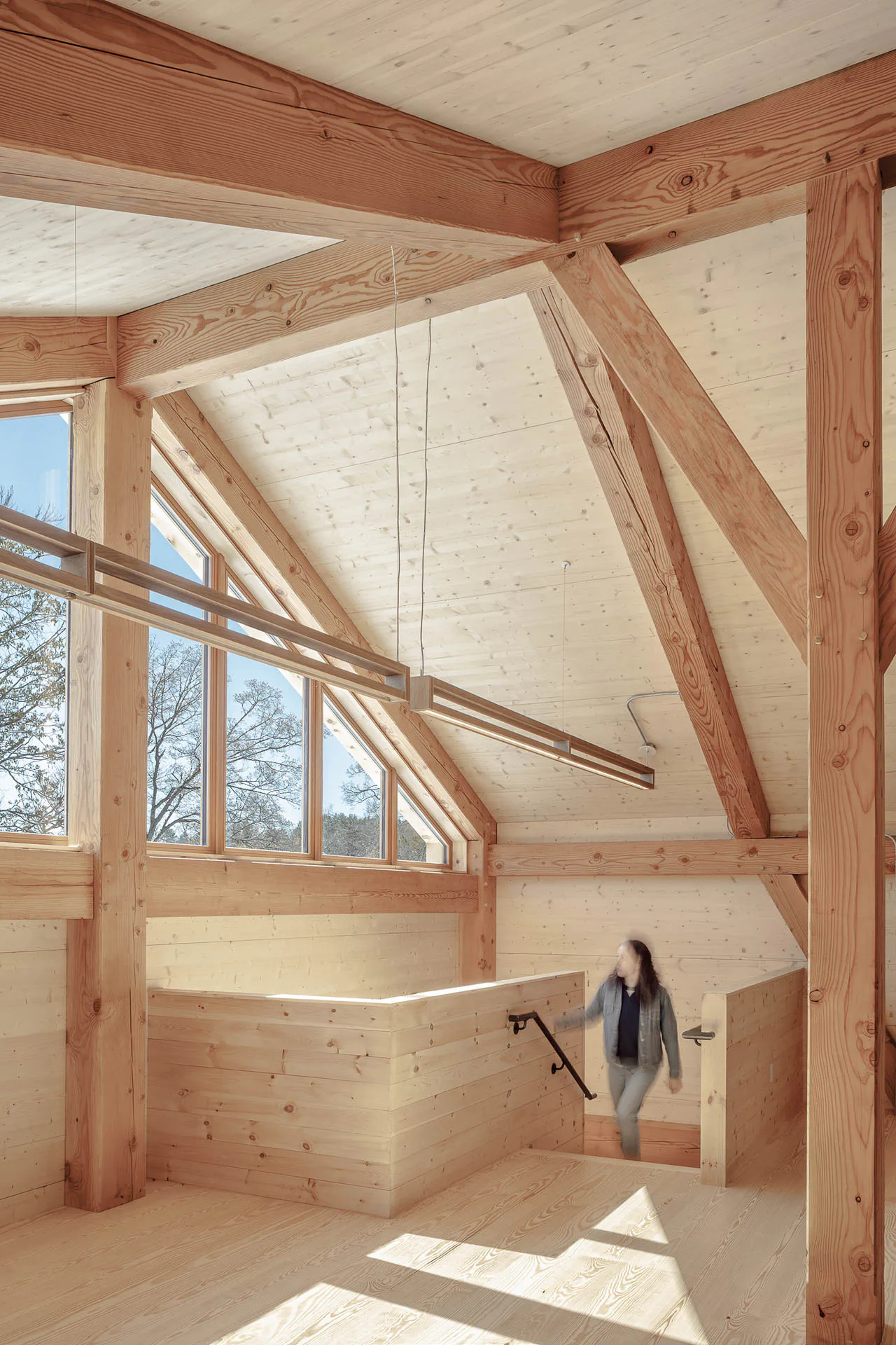 Die gesamte Raumoberfläche des Lofts in der oberen Etage ist mit hellem Holz verkleidet und steht im Kontrast zum dunkleren Konstruktionsholz.