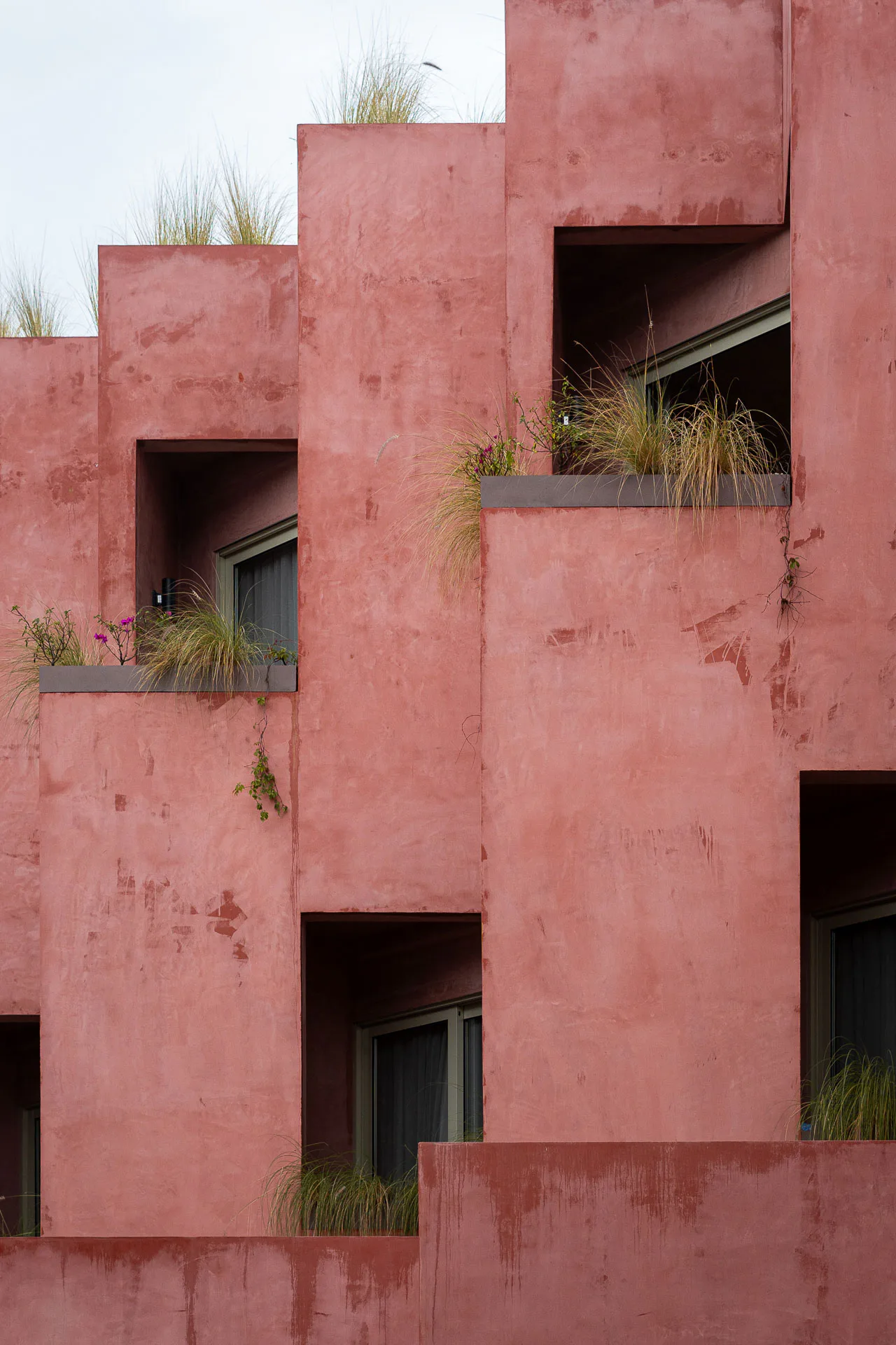 Die Nischen der Nordfassade werden als Balkone genutzt. Die grünen Pflanzen kontrastieren das Rot der Fassade.