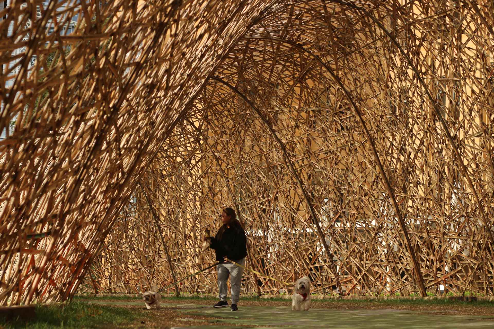 Die Installation „What We Leave Behind“ wurde vor dem Museum of Contemporary Art für das Sydney Festival 2025 errichtet. Binnen zehn Tagen flochten ehrenamtliche Helfer einen 40 m langen Tunnel aus gespalteten Bambusstangen.