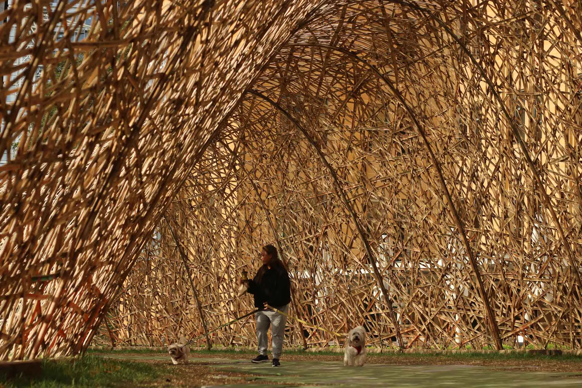 Die Installation „What We Leave Behind“ wurde vor dem Museum of Contemporary Art für das Sydney Festival 2025 errichtet. Binnen zehn Tagen flochten ehrenamtliche Helfer einen 40 m langen Tunnel aus gespalteten Bambusstangen.