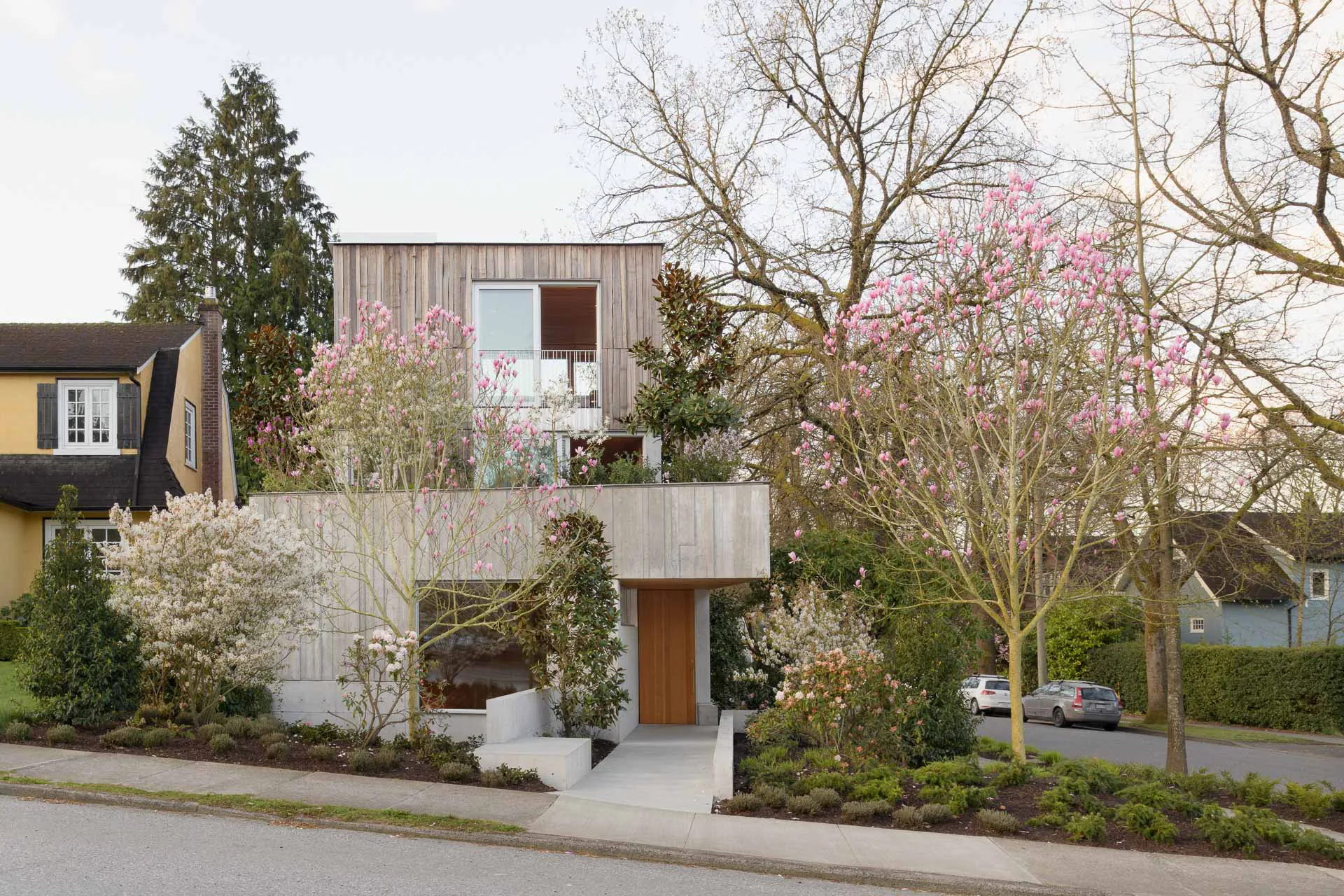 Magnolien blühen vor der hybriden Konstruktion aus Beton und Holz, sowie auf dem Dachgarten.