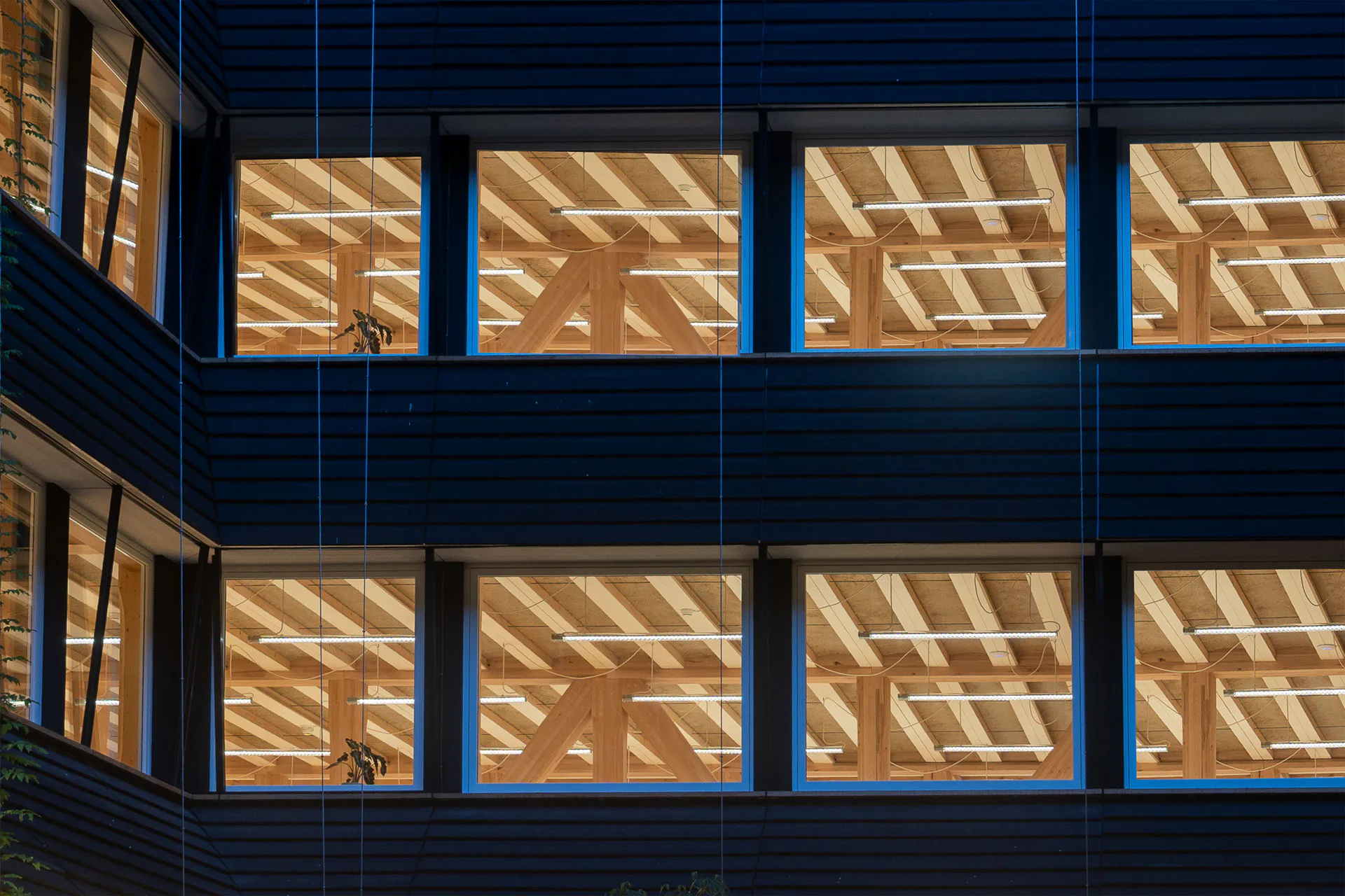 Von außen zeigt sich die Holzkonstruktion des Hortus durch die Fassade, mit Solena als durchlaufender Lichtlinie unter der Decke.