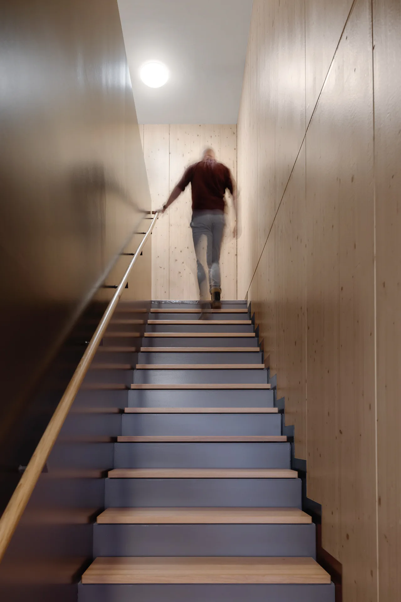 Aufsatzstufen aus Vollholz und vollflächige Holzpaneele umrahmen die Stahltreppe.