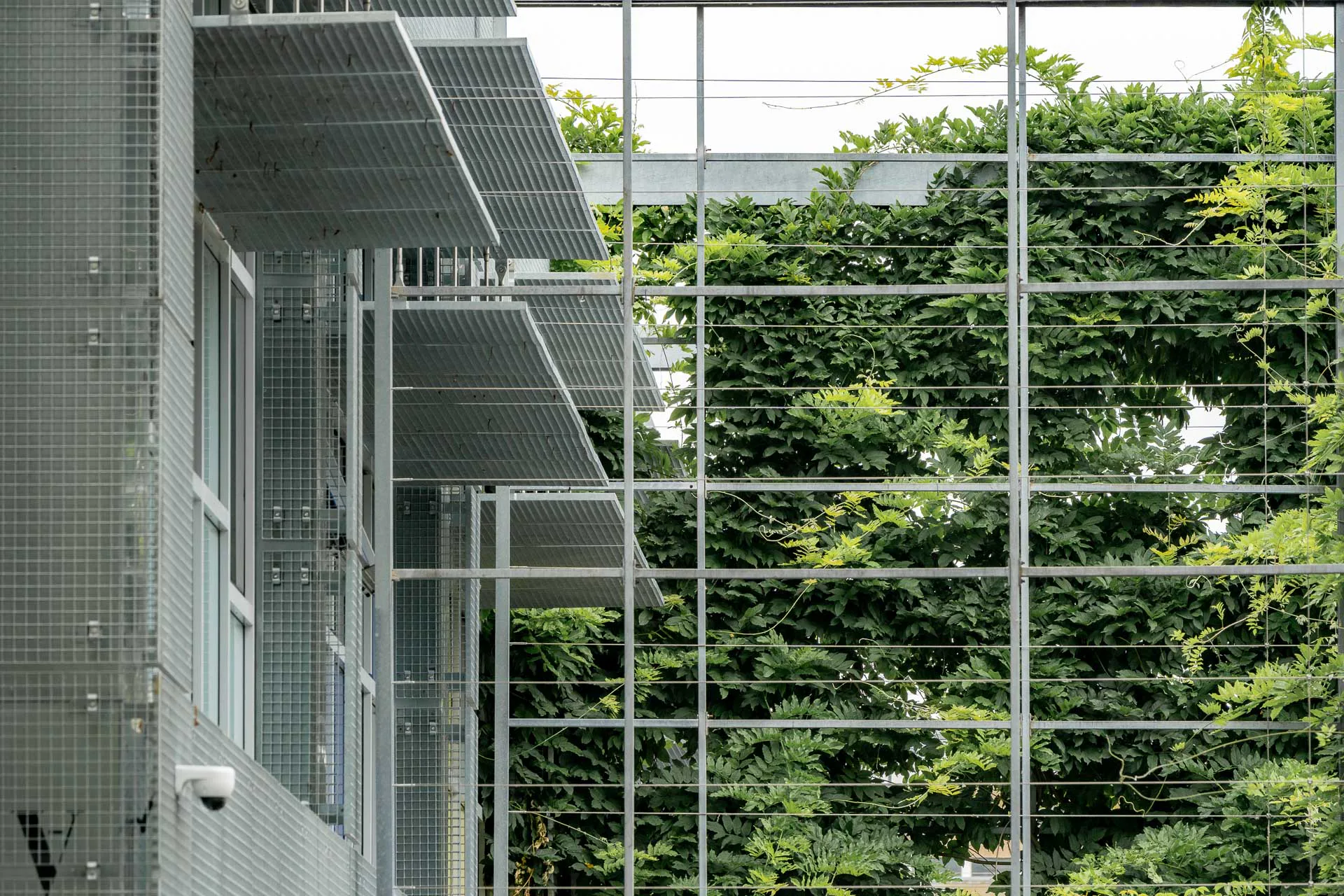 Sonnenschutz und Rankgerüste
