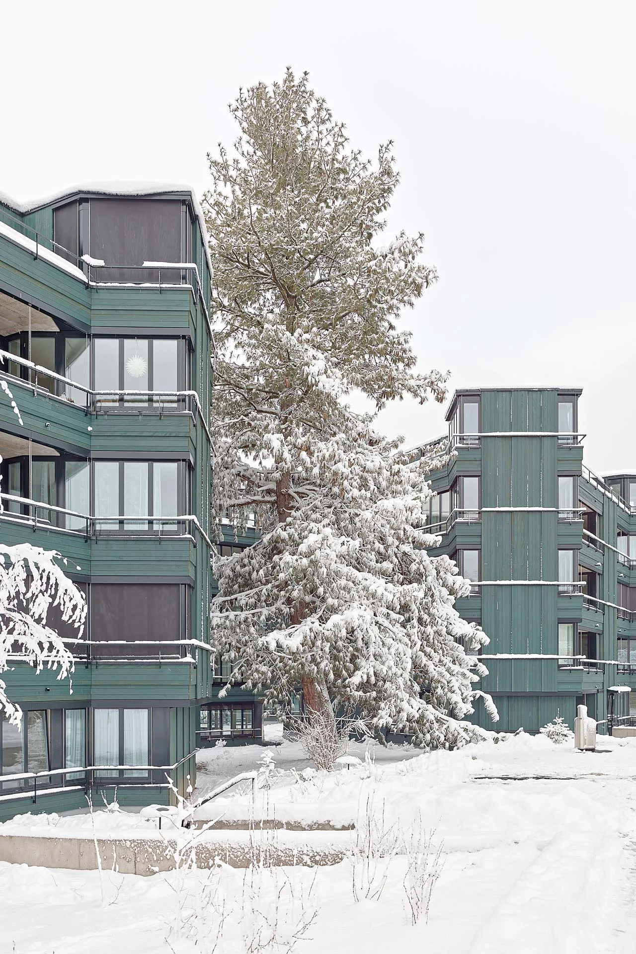 Die Wohnüberbauung Buchholzstrasse verkettet acht Einzelhäuser zu einer vielgliedrigen Großform.