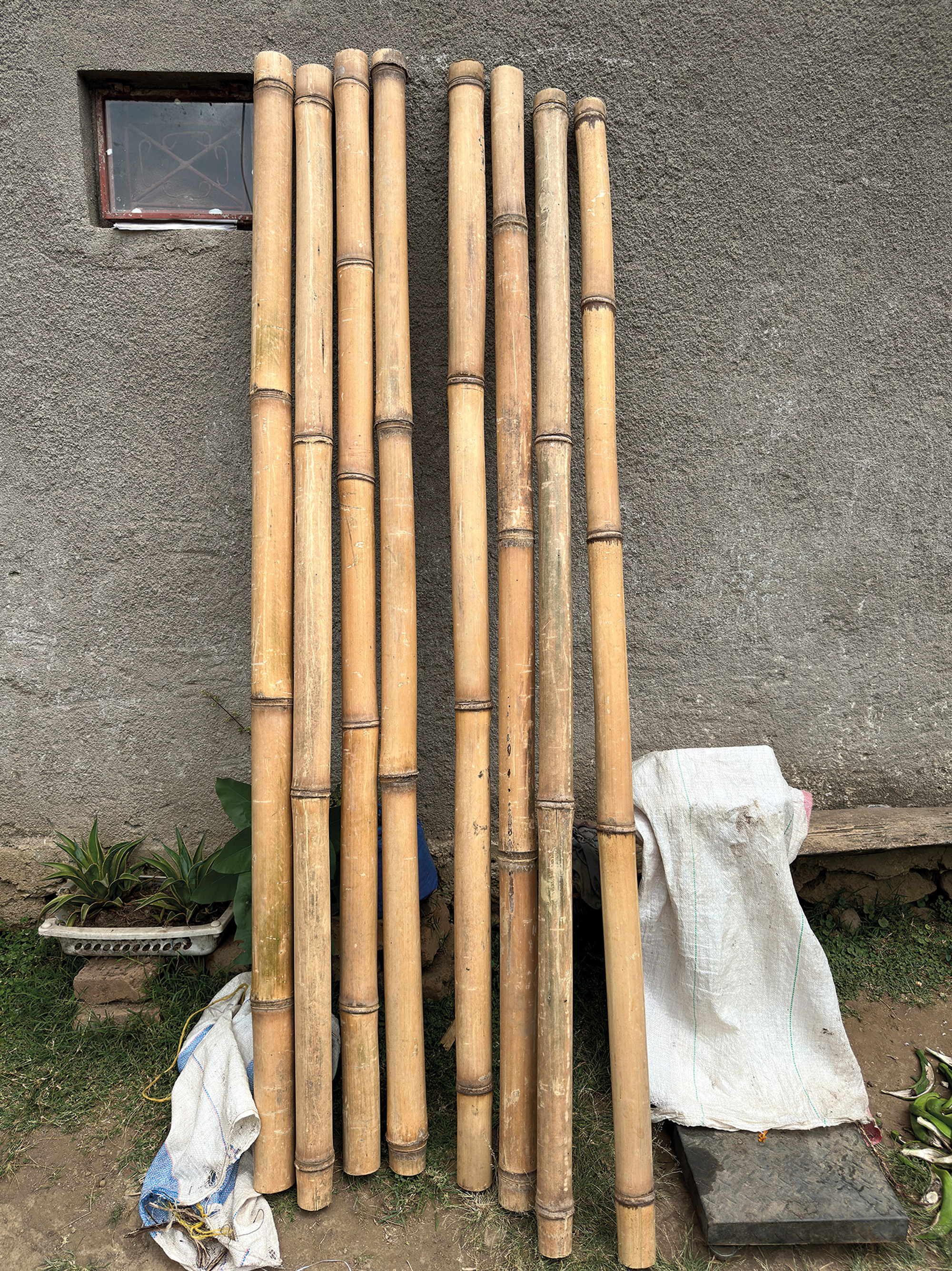 Produktion der Deckenelemente in Tansania (linke Seite und oben). Winkeleisen verbinden die Bambusstäbe miteinander, eine Stahlmatte dient als Zusatzbewehrung.