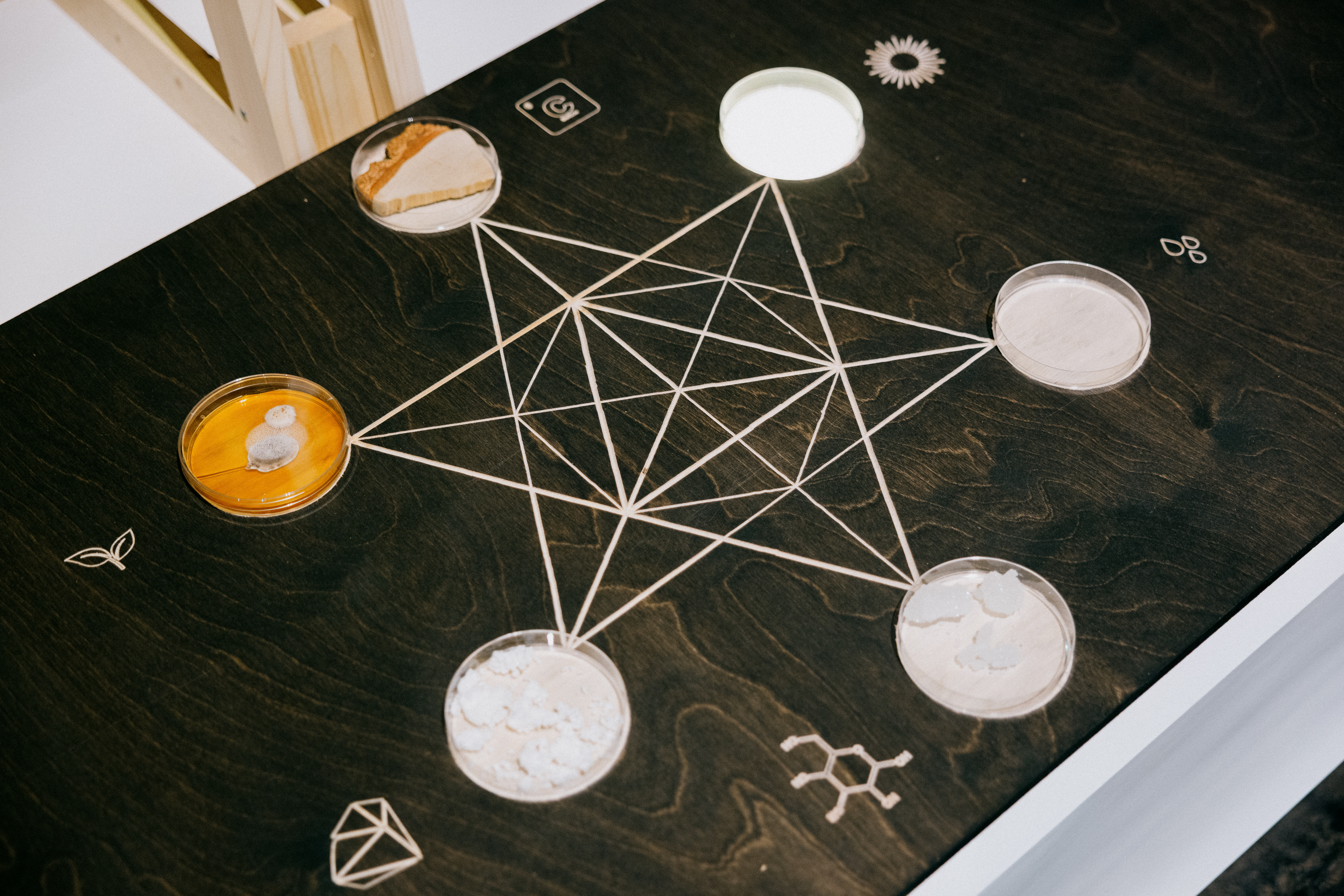 Oslotre is researching structures that behave like living organisms. 