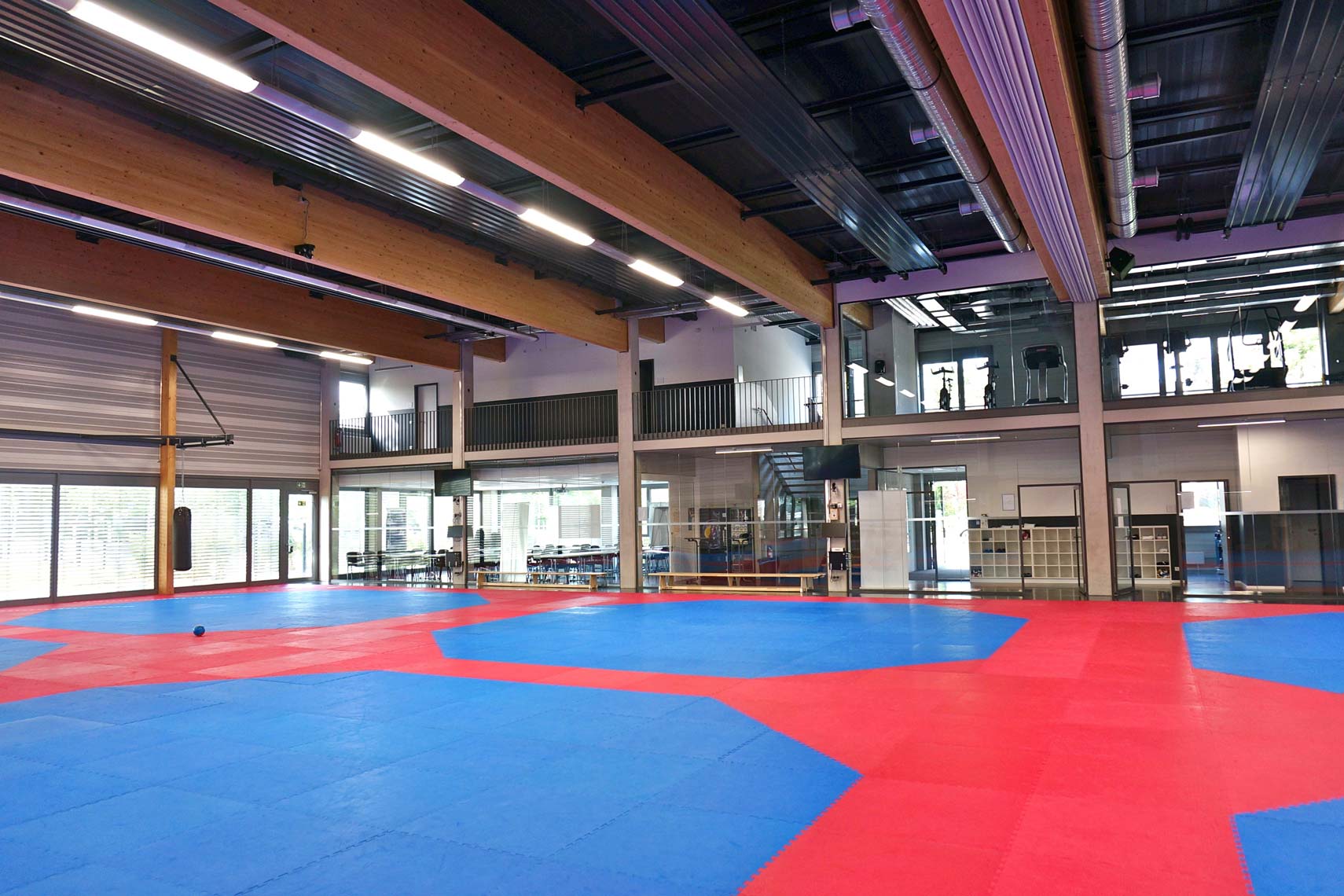 Taekwondo Bundesstützpunkt Nürnberg: Element-Dach in Akustikausführung mit perforierten Kassetten in RAL 7016.